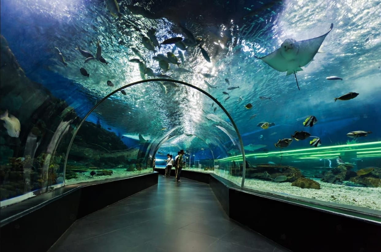 a wide shot of seaworld aquarium