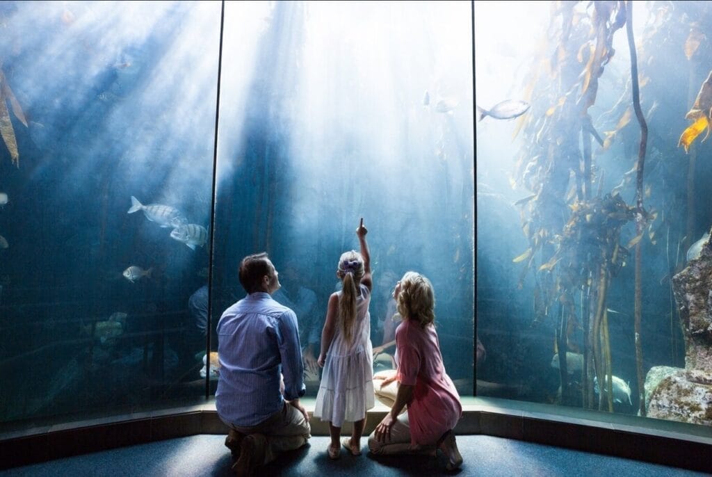 a family on a seaworld aquariums