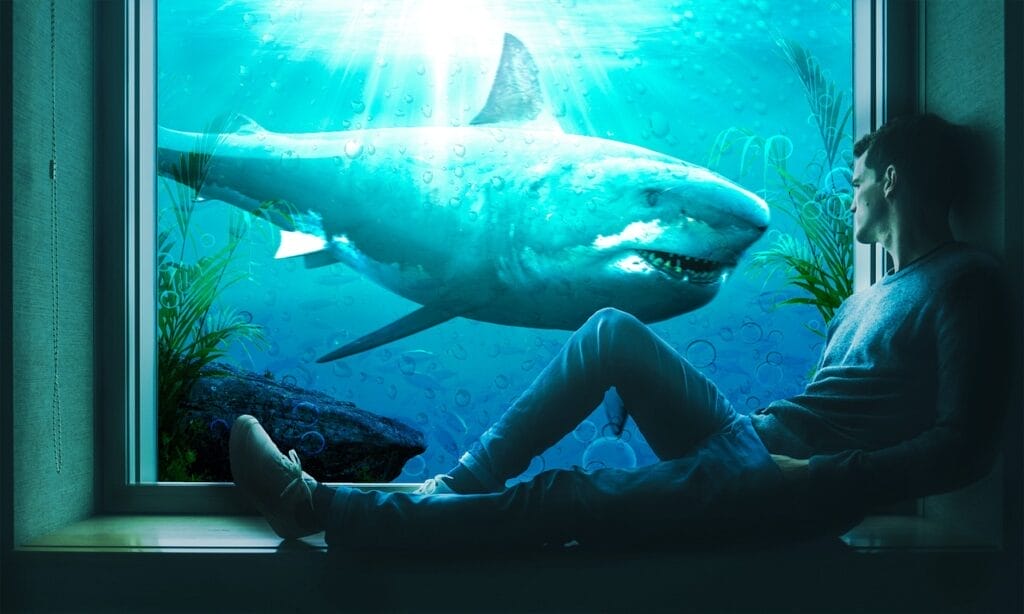 a man watching a shark in an aquarium